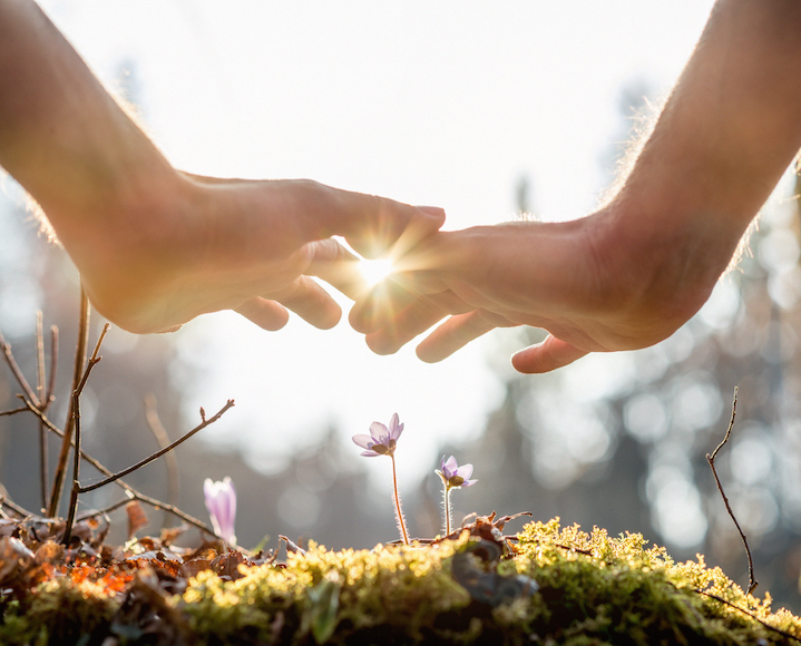 الحفاظ على الثروات